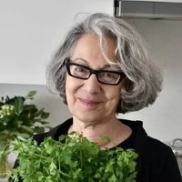 Linda Dangoor