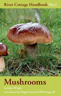 Mushrooms: River Cottage Handbook No. 1