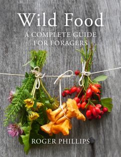 Chanterelle Sauce from Wild Food by Roger Phillips