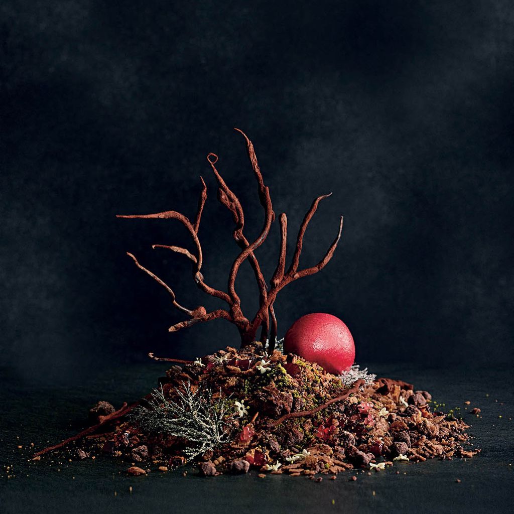 Chocolate Forest Floor from Sepia: The Cuisine of Martin Benn by