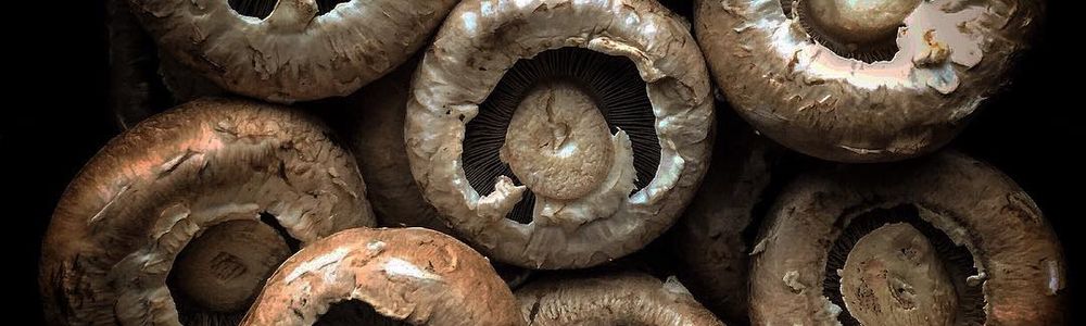 12 Ways With Mushrooms