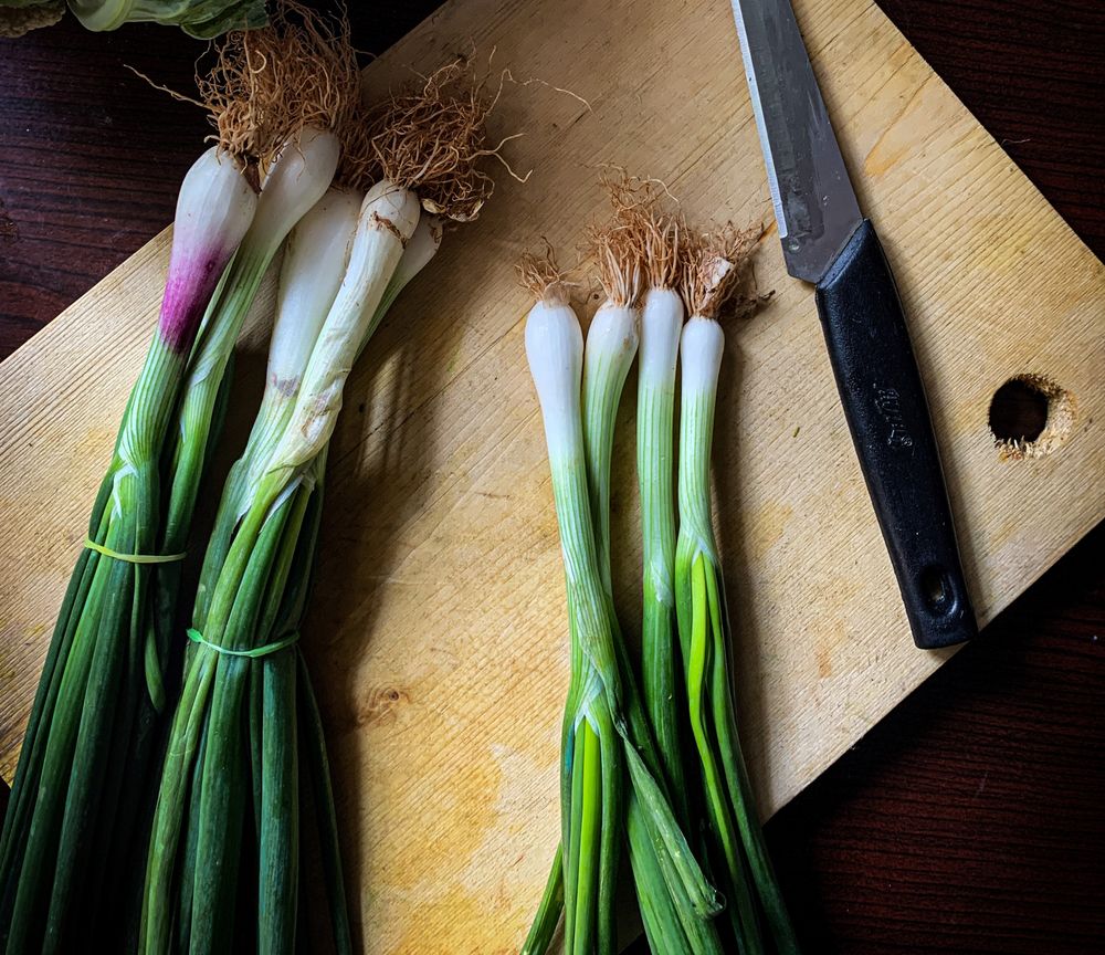 12 Ways with Scallions (Spring Onions)